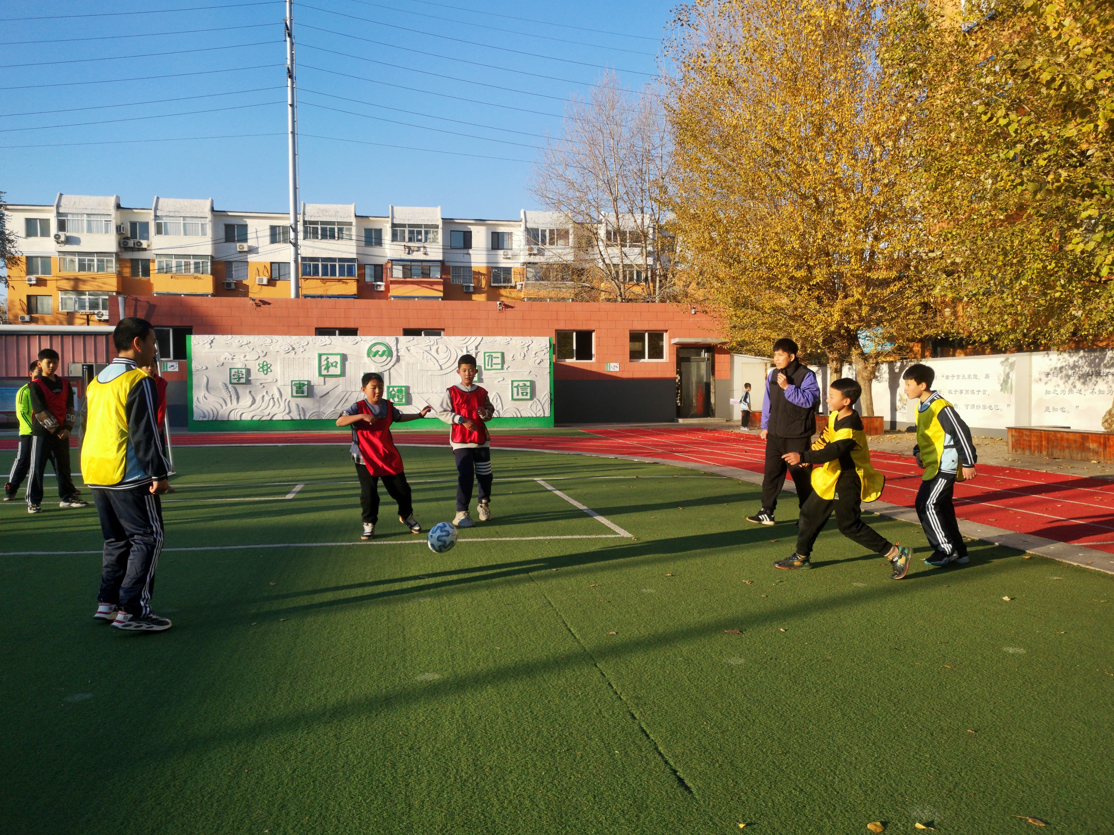 大东区和睦路小学教育集团,大东区和睦路小学96届