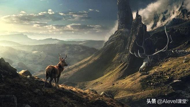 apalevel经济教材,a-level课程与ap课程的区别在哪里