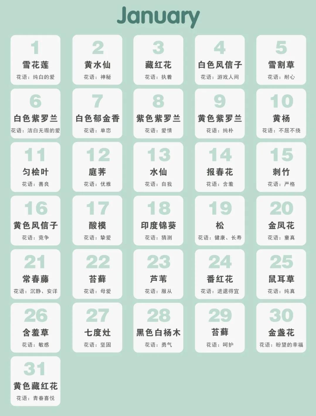 365生日花语大全,关于生日的花的花语