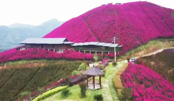 散发着泥土芬芳的文字,散发着泥土的芳香