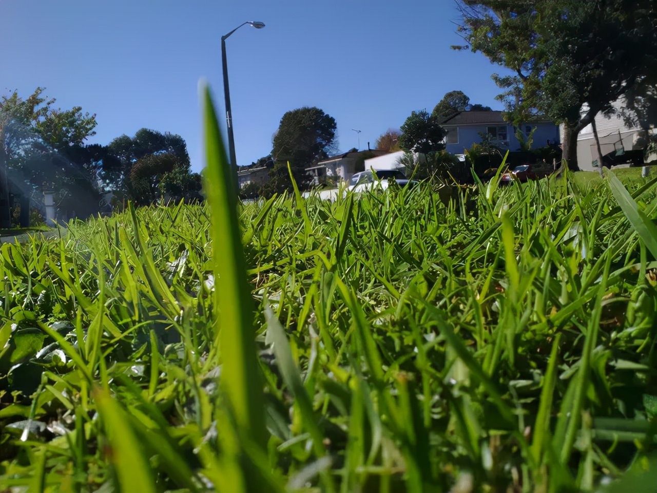 新西兰留学生寄宿洋人家的费用,住在新西兰的真实感受