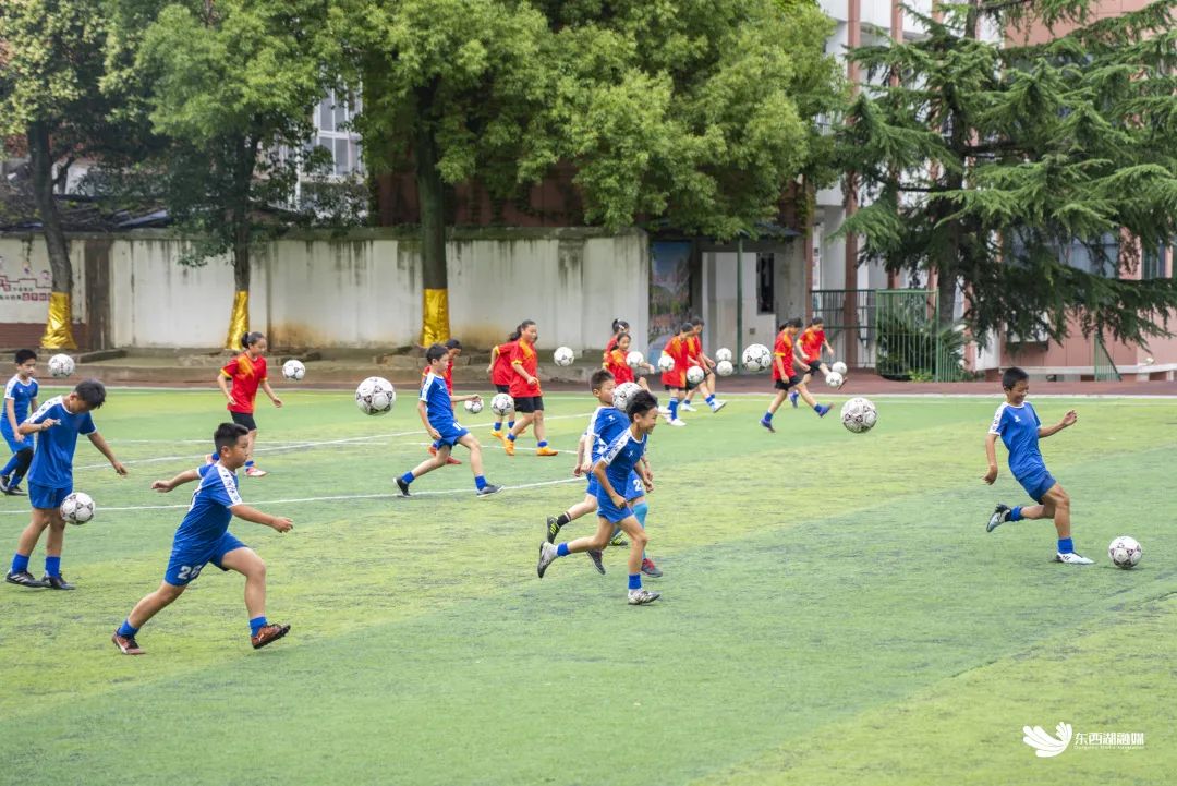 武汉市东西湖区比较好的学校,看东西湖有哪些好玩的地方