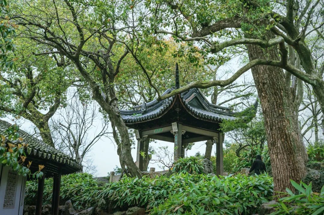 江南最美的城市,江南最好的风景城市