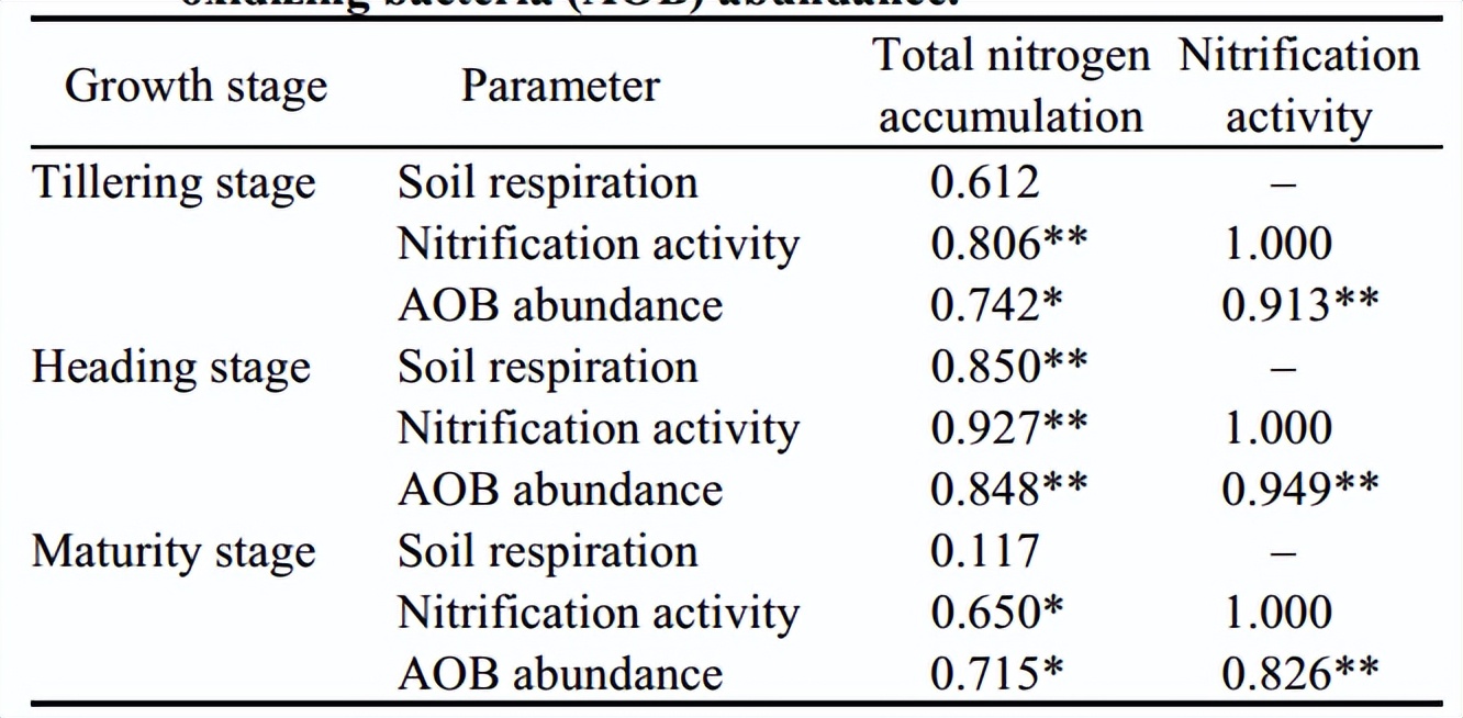 促进水稻氮素吸收利用的途径,促进水稻根系生长的措施