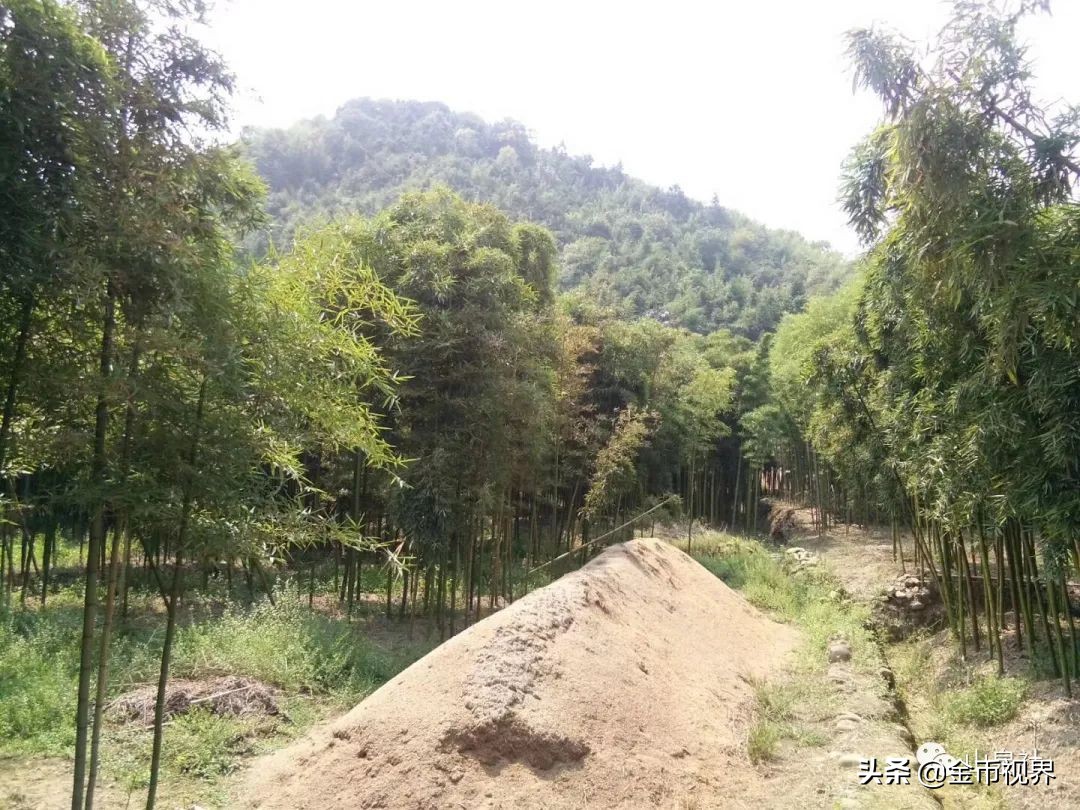 五代吴国钱币,五代十国楚国古钱币