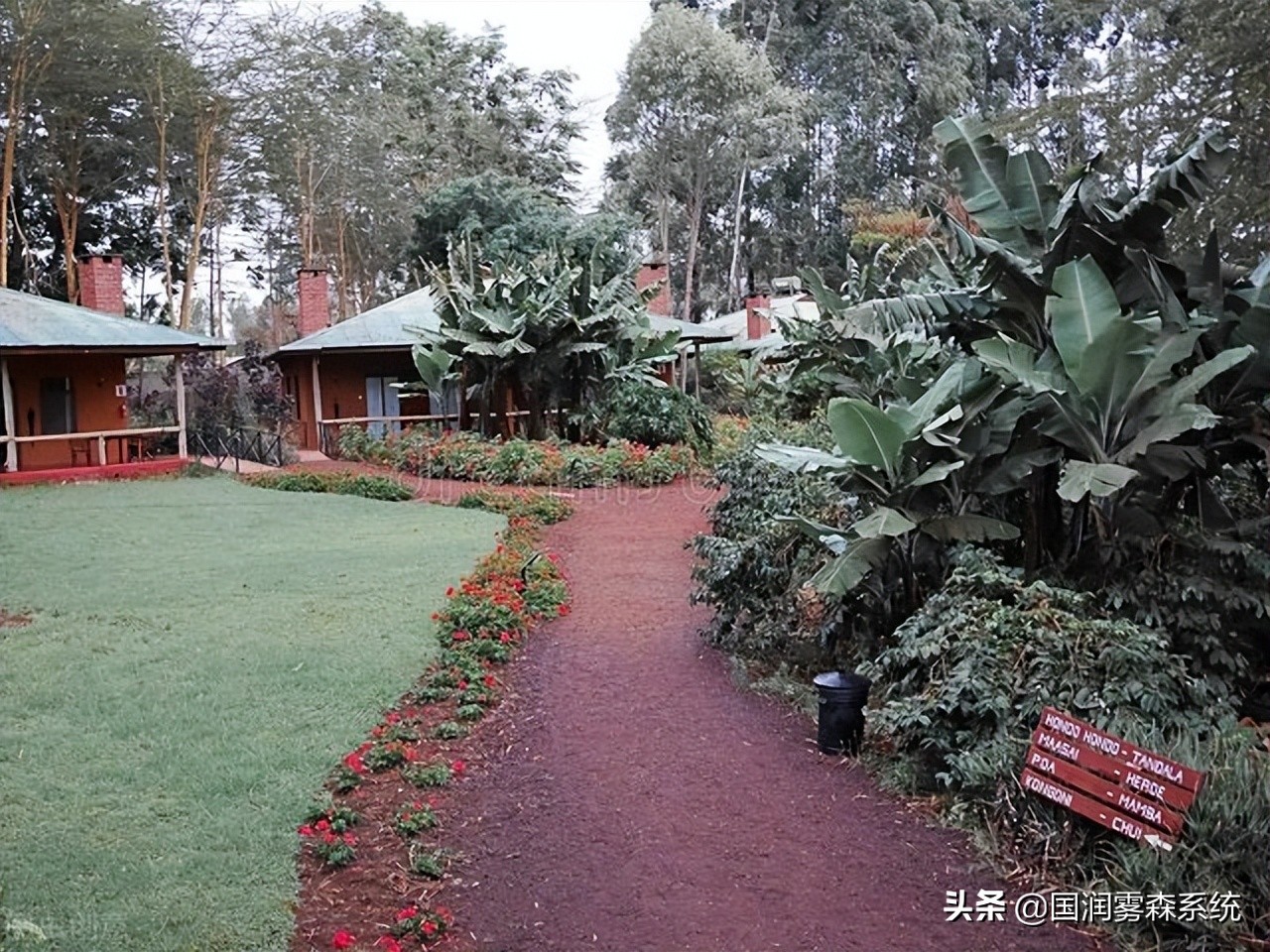 景观雾森系统设计,景观冷雾系统设计施工