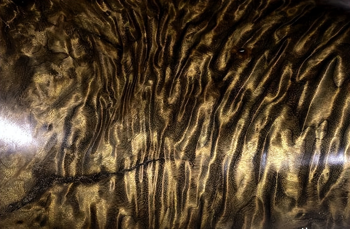 美出天际,流光溢彩的金丝楠木