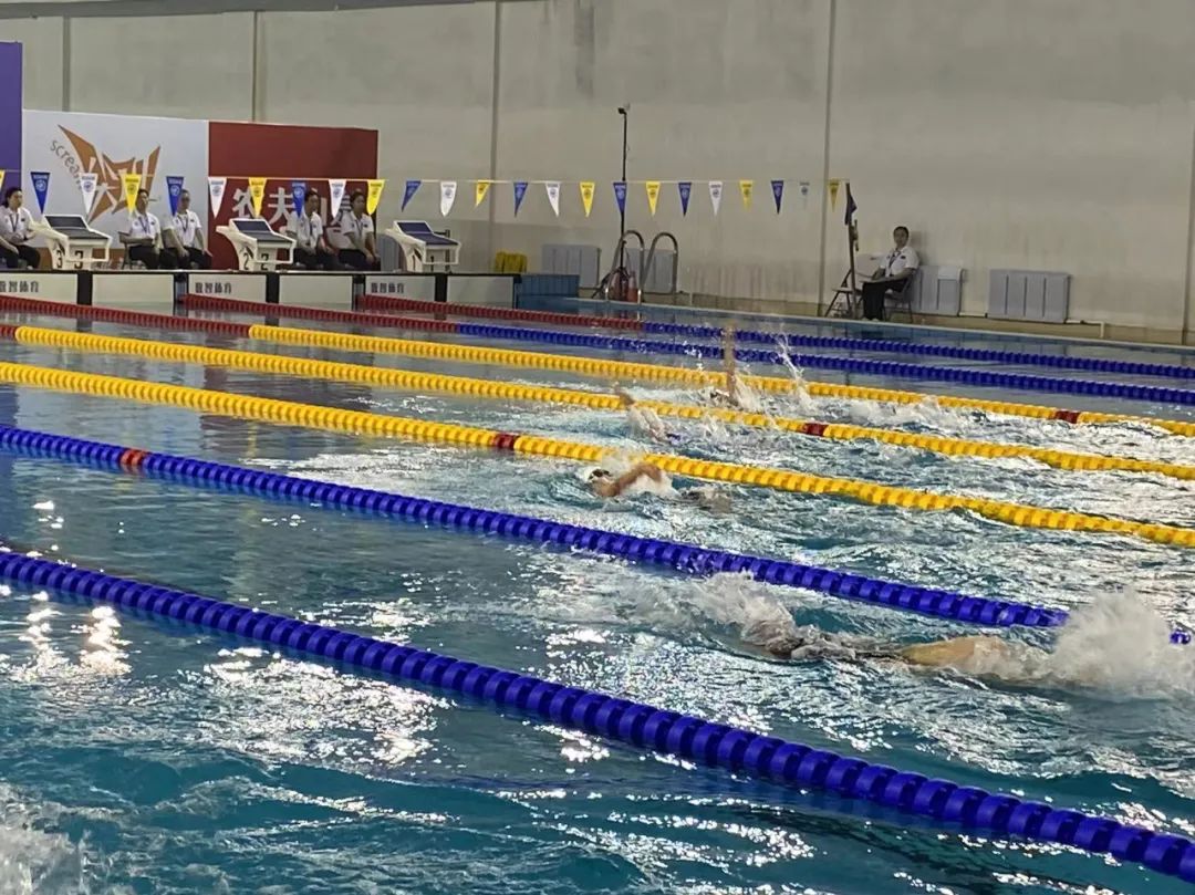 游泳比赛佳绩,游泳锦标赛喜报