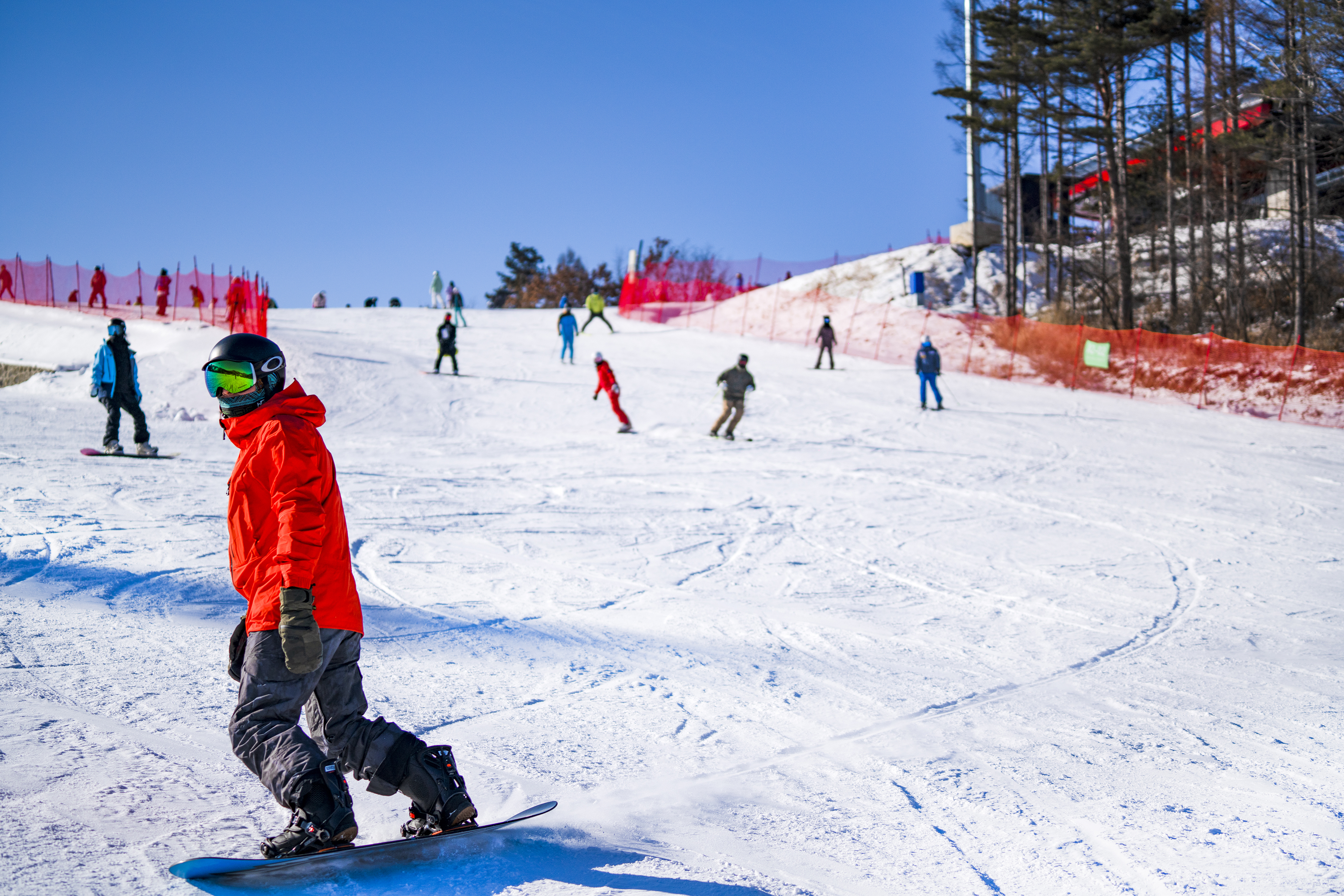 万峰通化滑雪度假区开板时间,通化万峰滑雪度假区种的什么树