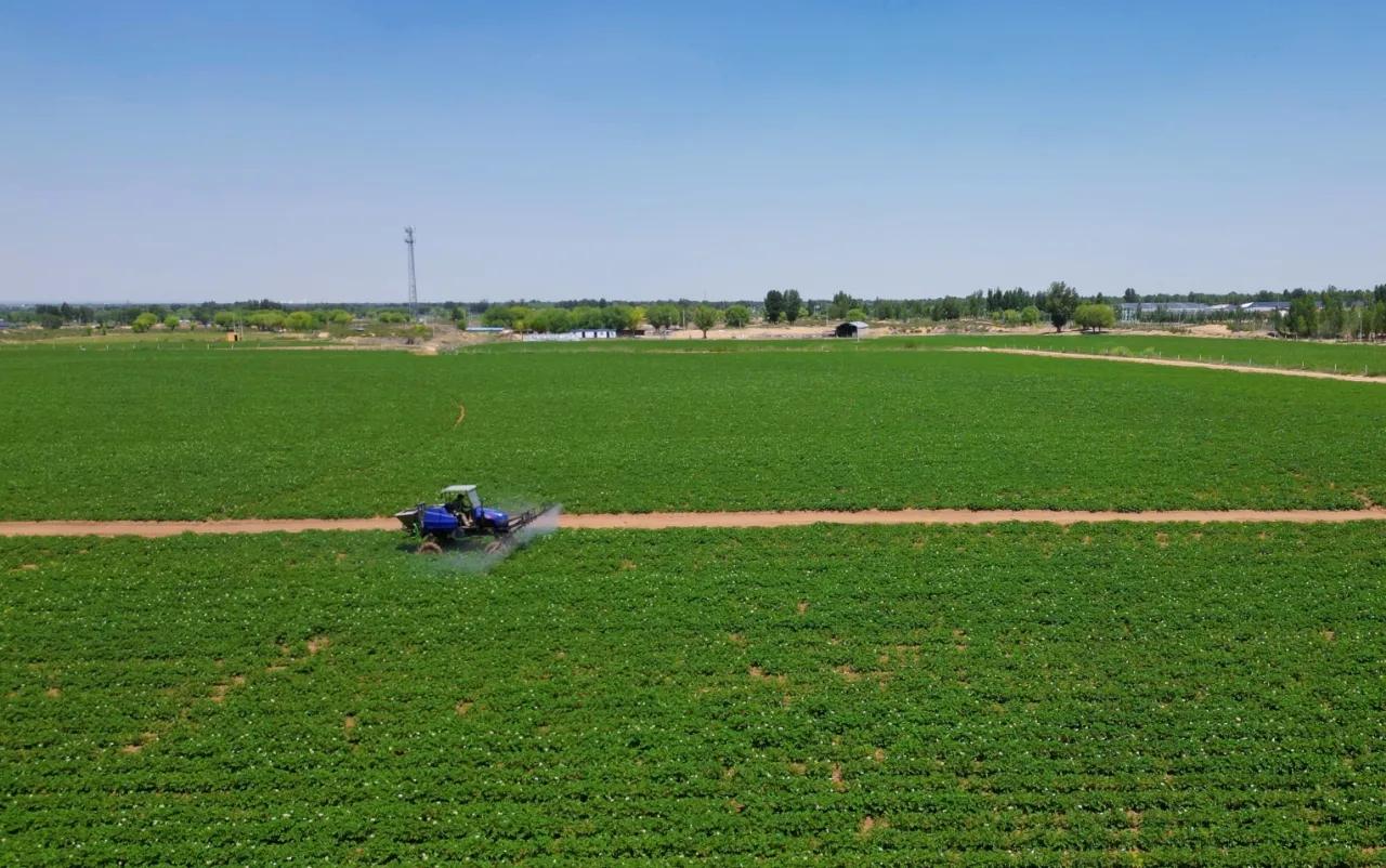 雁飞千里靠头雁的诗谁写的,雁飞千里靠头雁的意义