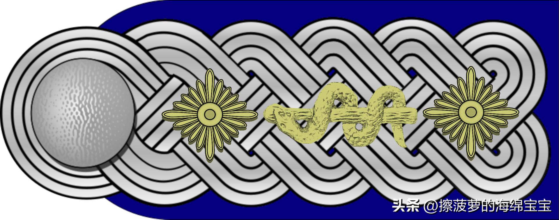 二战德国国防军医疗兵军衔标志