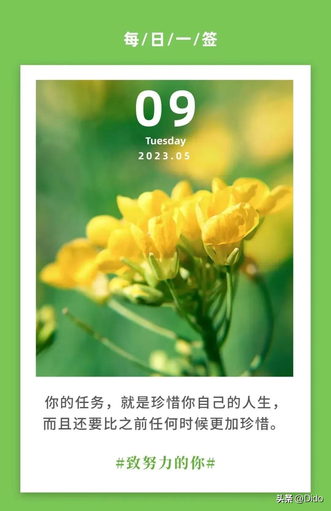 黎明将至抬头尽是朝阳什么意思,已知黎明将至抬头尽是朝阳含义