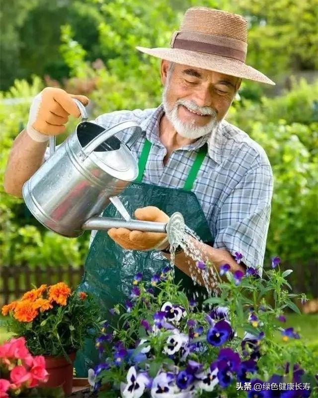 园艺疗法的主要对象,园艺治疗师前景