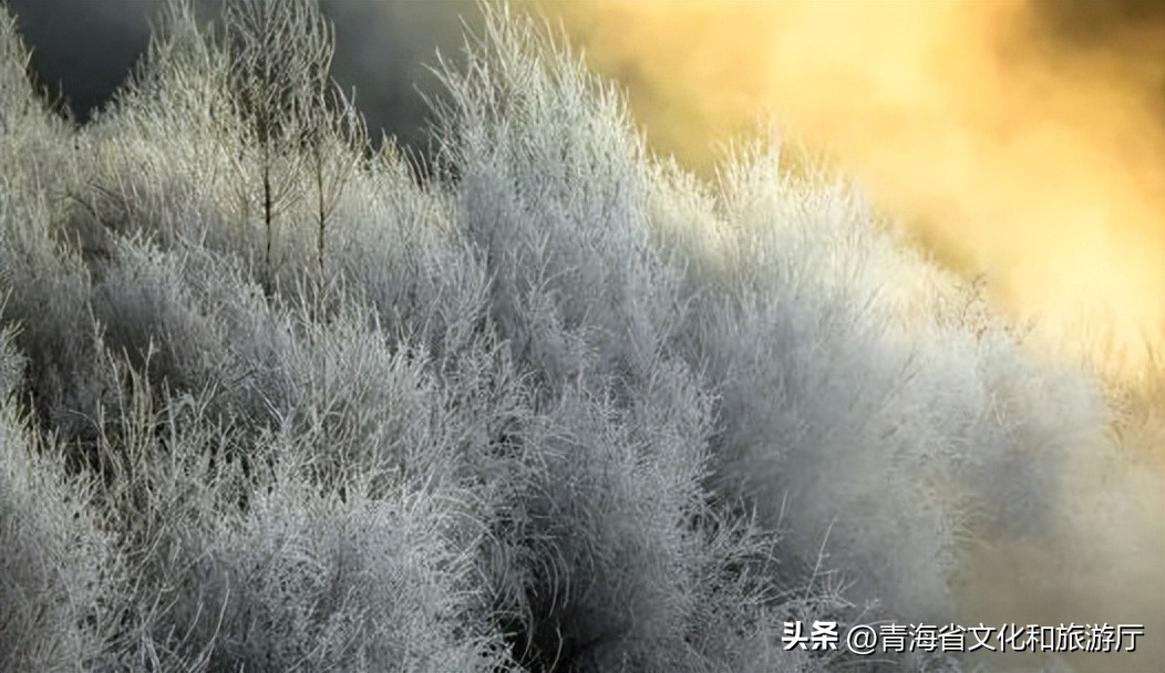 冬日的青海真的很美,青海的冬天美景
