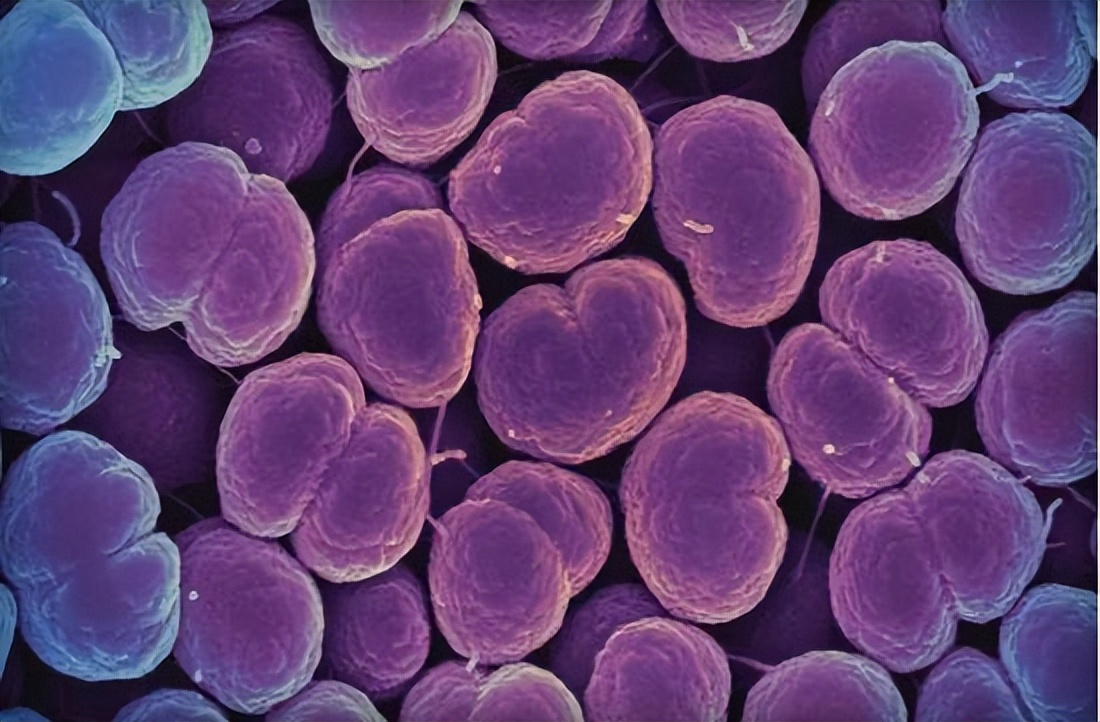 能通过性传播的疾病有哪些,7种疾病会传播