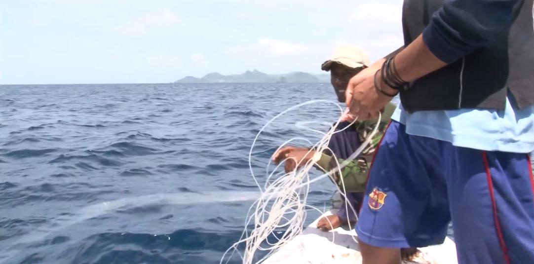 渔民捕获虎鲨,真实渔民钓到的虎鲨