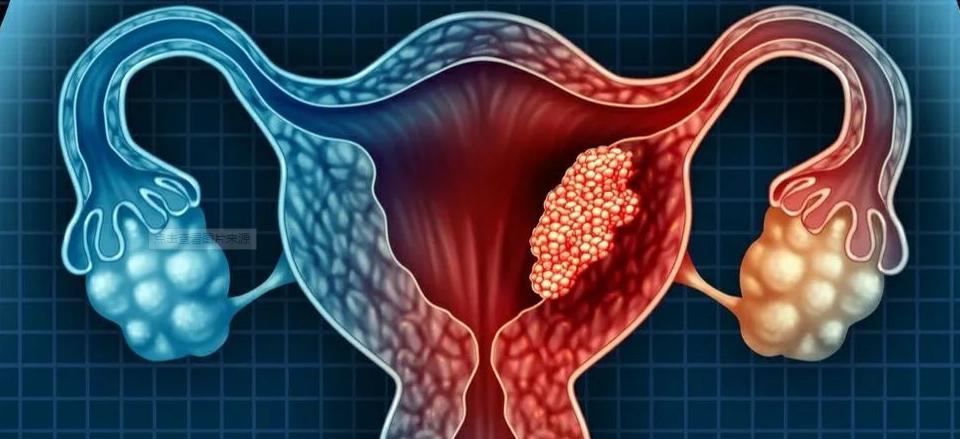 绝经后又来月经是癌变的前兆吗,绝经几年忽然又来了点月经