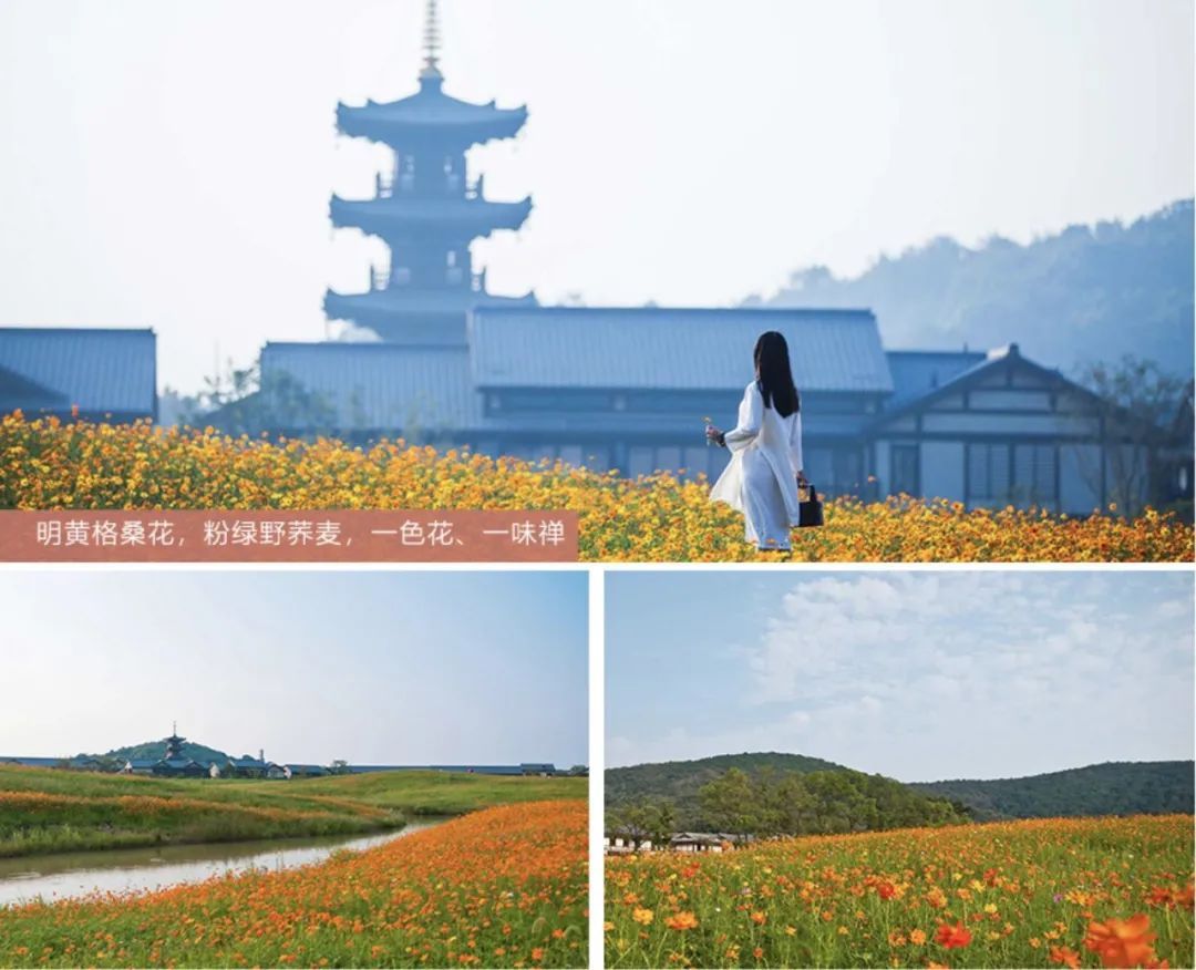 拈花湾心灵之旅,拈花湾禅行体验