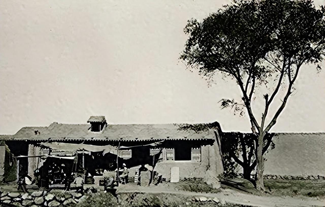 他把现金堆成山，高调捐款20亿后“消失”，如今出现在家种地？