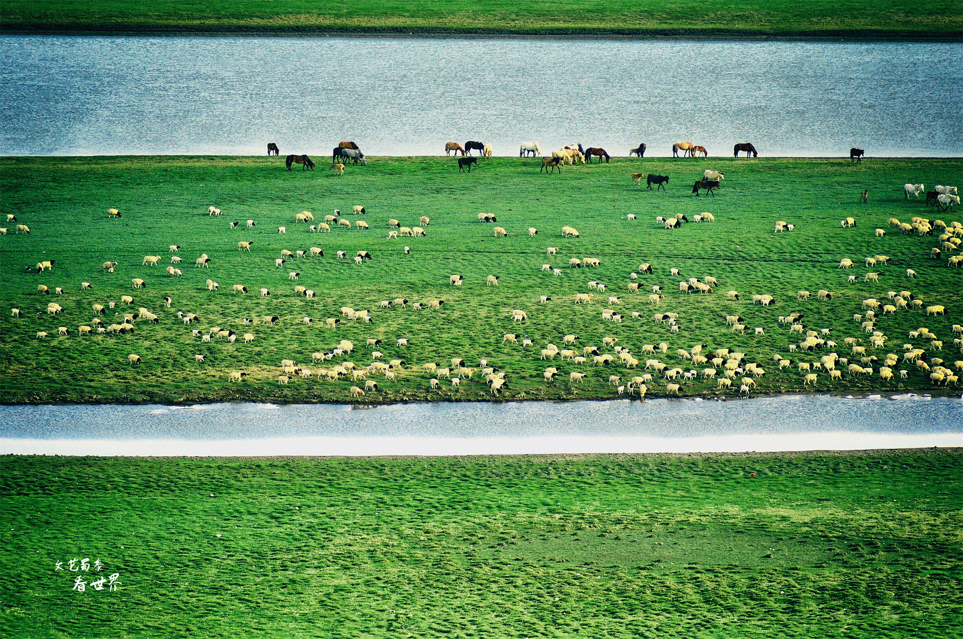 为何说*疆新**旅游一定要去巴音布鲁克草原？而且景区最好选择傍晚去