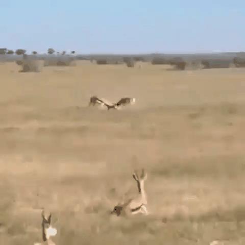 11张照片告诉你大自然的可怕,大自然细思极恐的照片