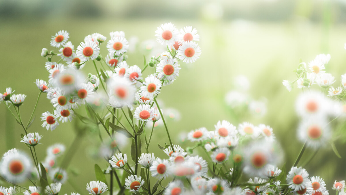 老公再爱我一次电视剧全集,老公再爱我一次全文免费阅读