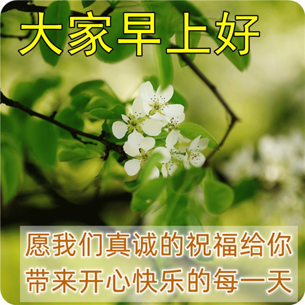 精美早上好动态表情包图片大全,最新早上好表情包动态图片大全