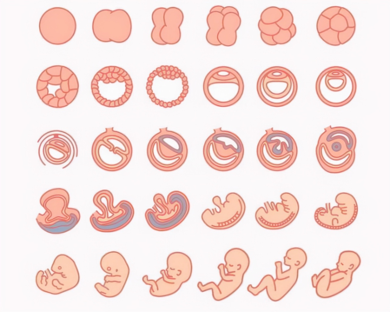 孕期花费清单大全,孕期囤货新手宝妈必备清单
