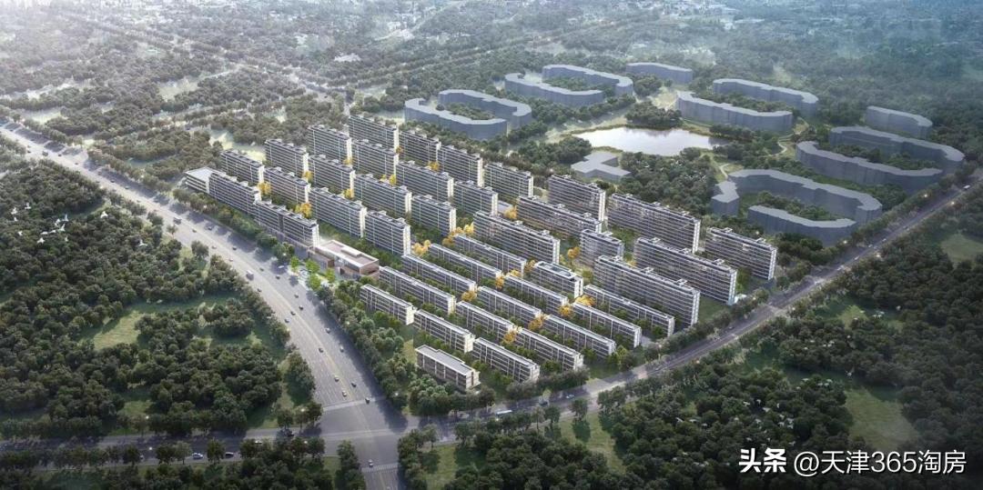 这是天津“战斗力爆表”的纯新盘！