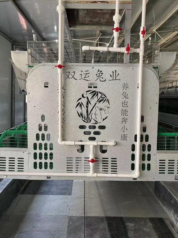 洲仔镇肉兔,小兔子乖乖把门开好运来