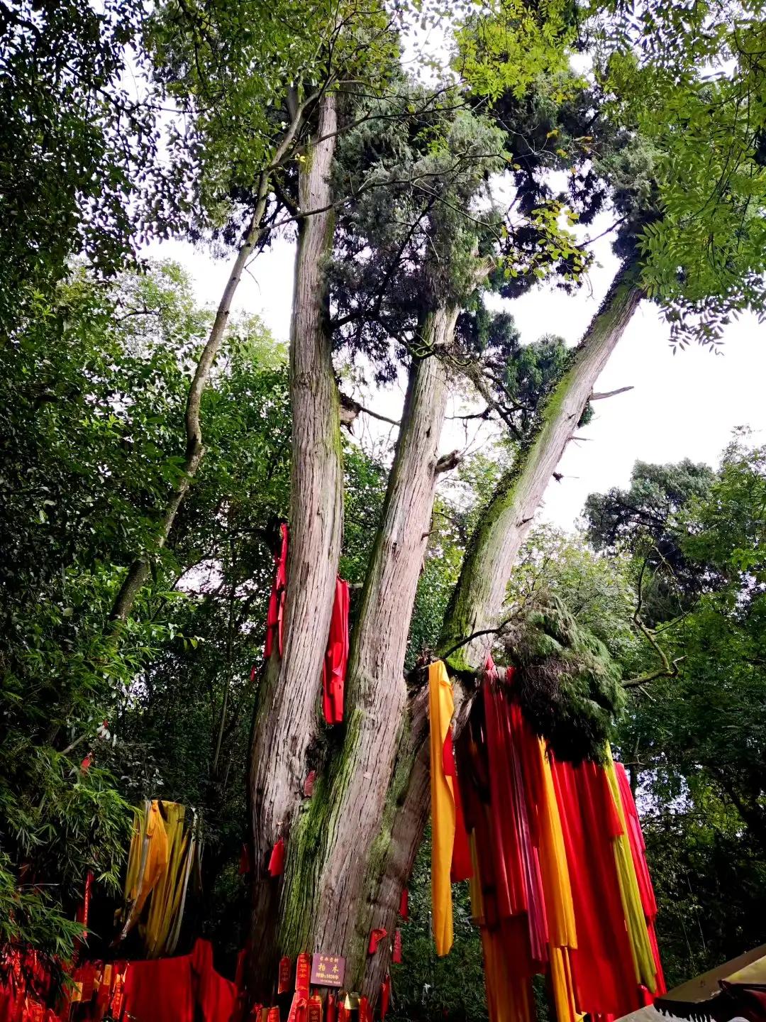 观音的经典故事,观音菩萨和心经的故事