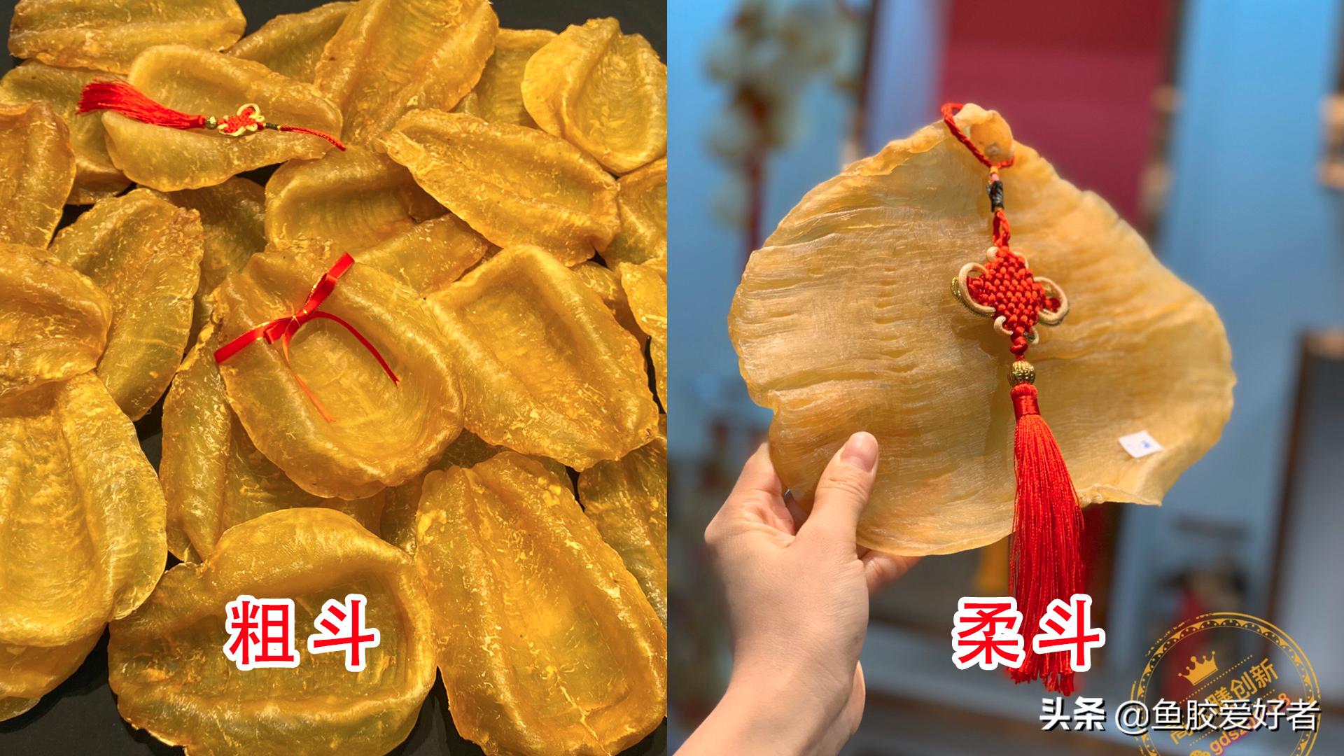 斗湖鱼胶和黄花胶哪个更好,斗湖鱼胶适合收藏吗