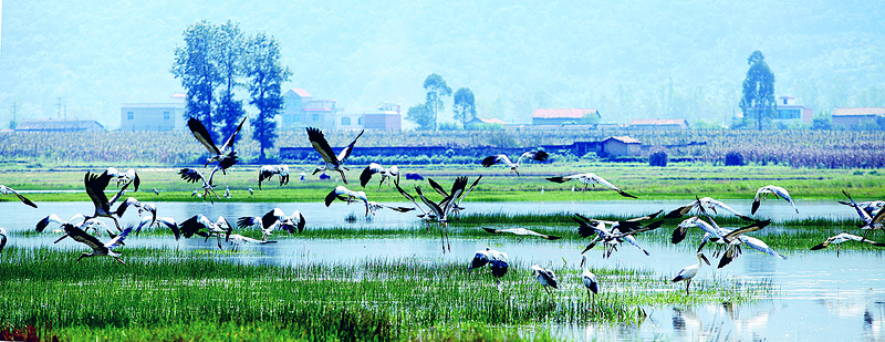 浜戝崡鐪佹枃灞卞競鏂囨梾,浜戝崡鏂囧北鏂囨梾