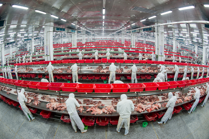 “食肉无忧美味尽享”，金锣标准守护舌尖安全