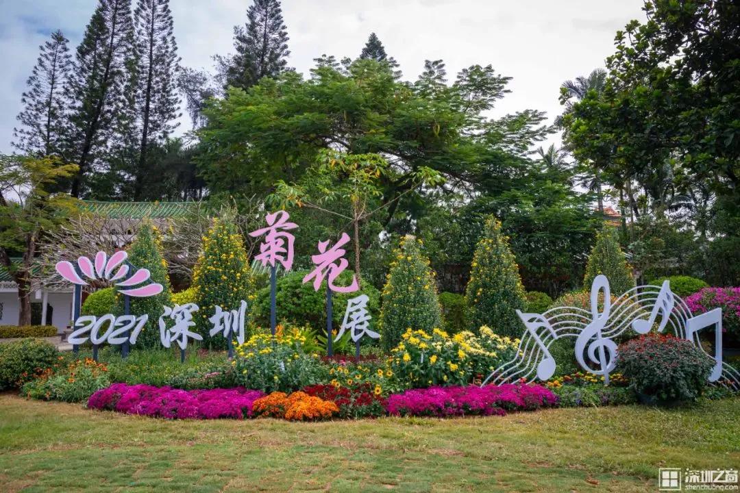 66万盆菊花东湖公园菊花展,东湖公园菊花展有哪些菊花