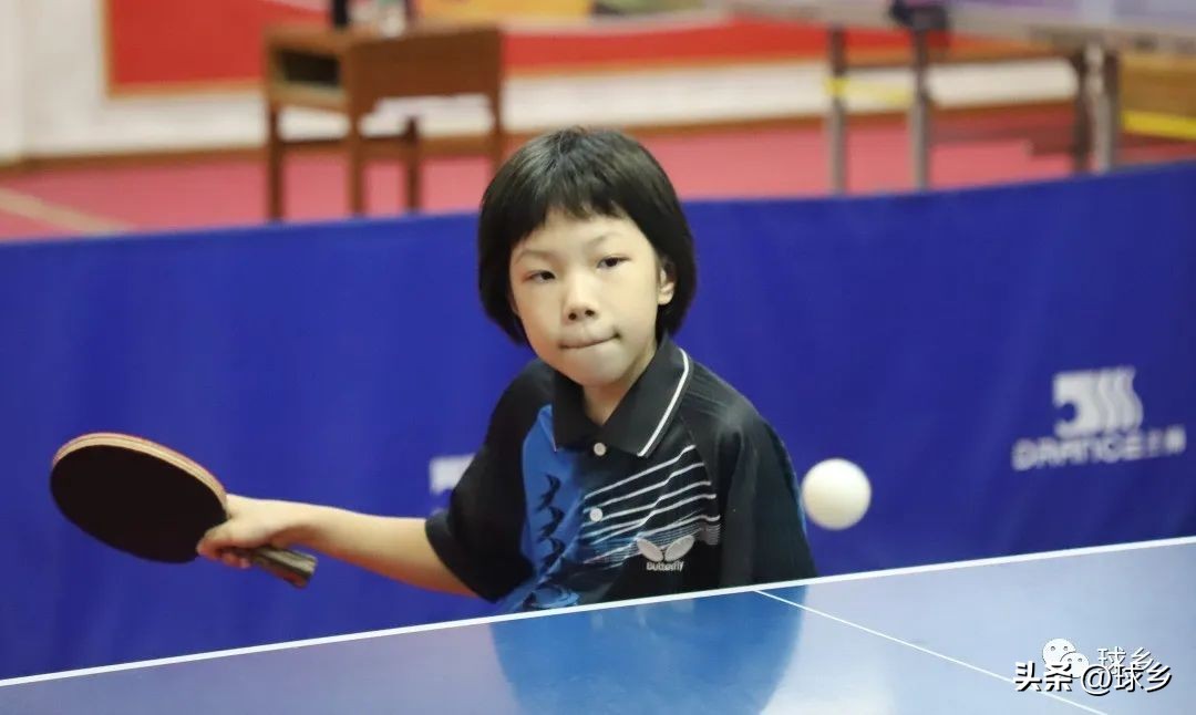 踔厉奋发新起航,踔厉奋发开新局奋楫笃行谱新篇