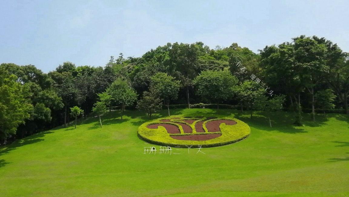 广州一日游最佳路线免费好玩景点,广州游玩景点一日游推荐路线
