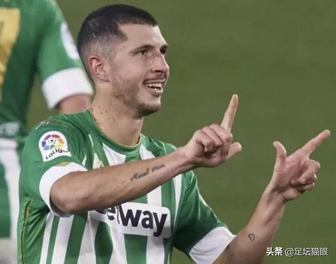 潘帕斯雄鹰阿根廷提前晋级世界杯,潘帕斯雄鹰阿根廷出征世界杯