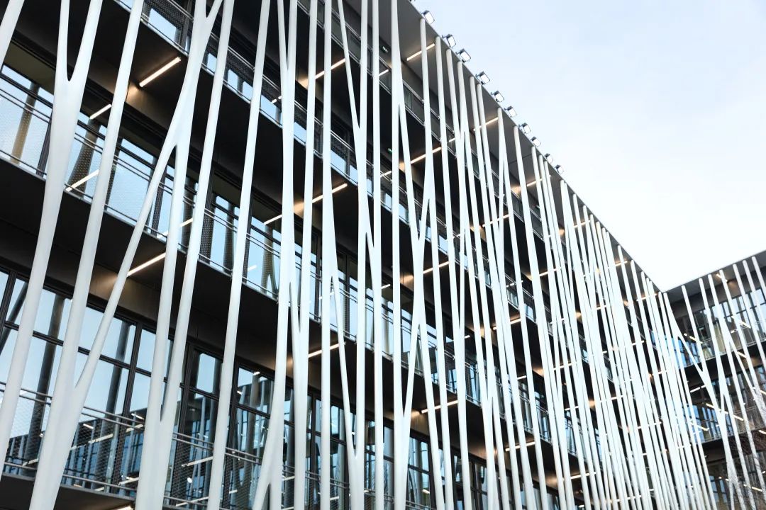 香奈儿2017早秋手工坊,香奈儿高级手工坊发布会视频