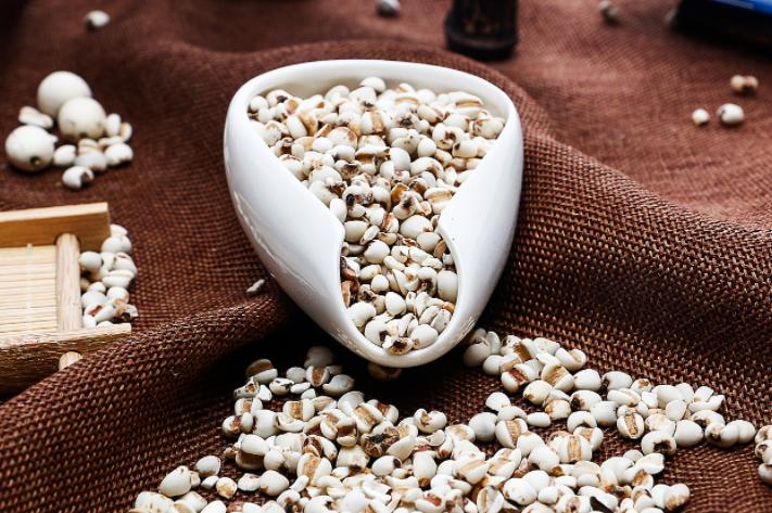 福建金沙薏米特产介绍,福建金沙薏米批发价格