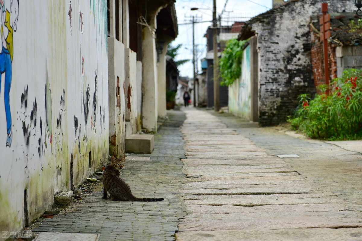 隐藏在繁华魔都的千年古镇,寻古幽访被时光遗忘的千年古镇