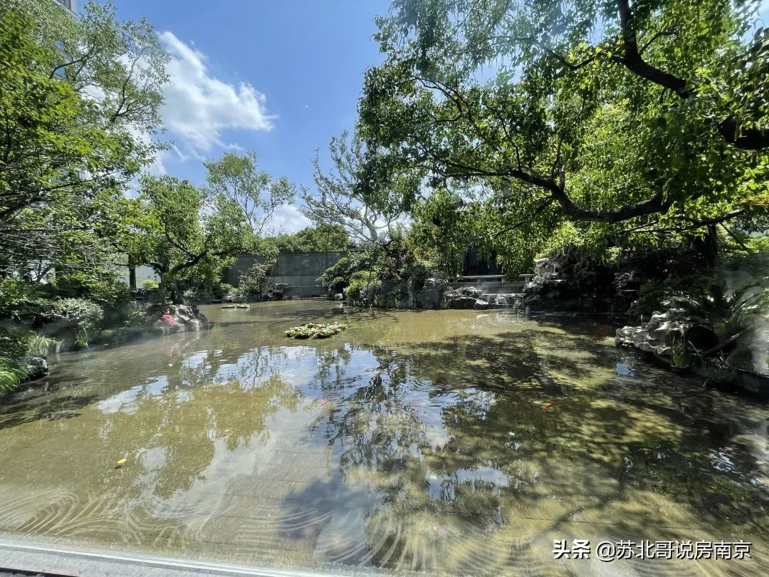 河西金鼎湾和禧,金鼎湾和禧样板房