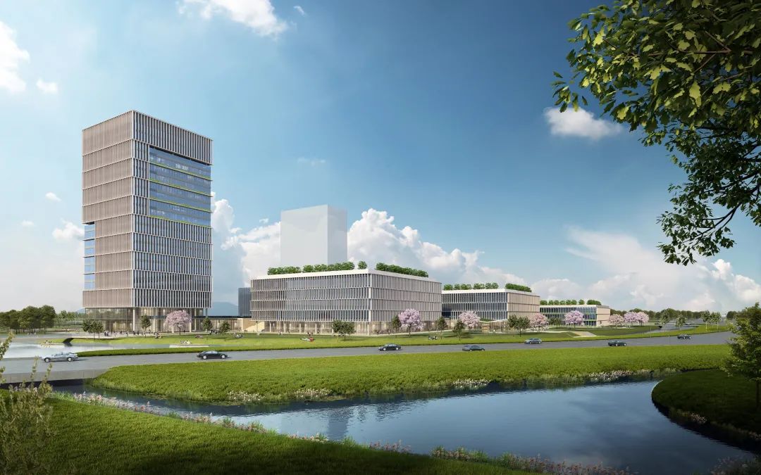 逆势而上再创辉煌视频,逆势而上教育机构团队打造全攻略