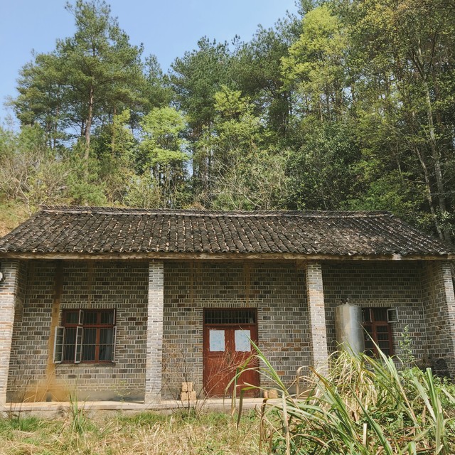 清明节上坟可以拍照吗,清明节上坟可以在坟前拍照吗