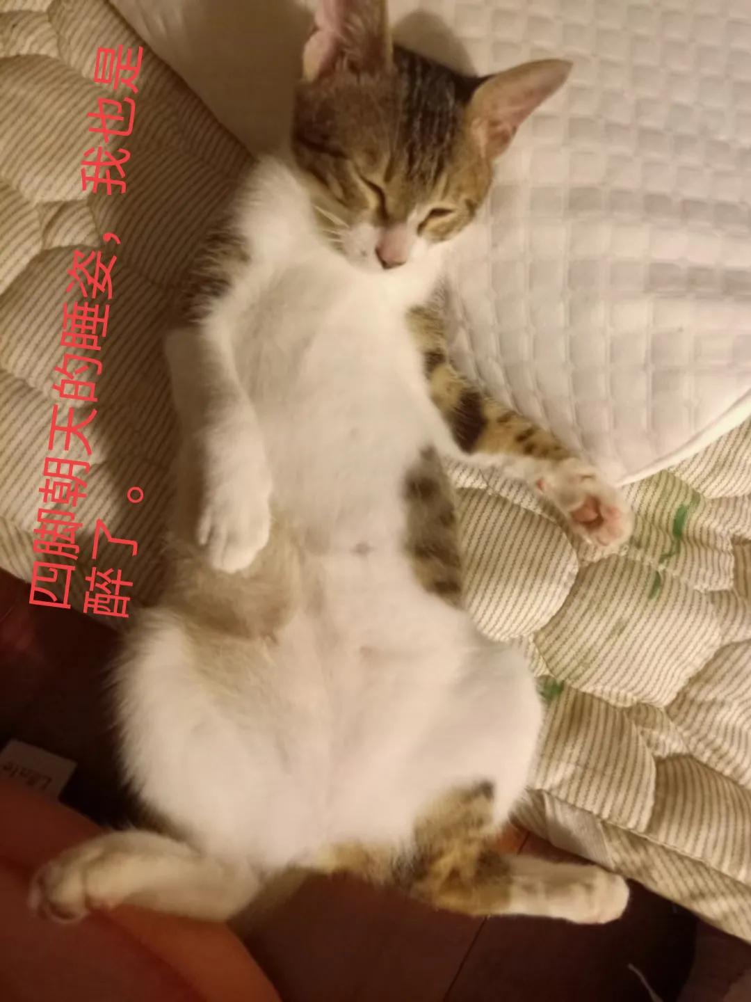 happy鎴戠殑濂冲鎻掓洸,浣爃appy鎴戜篃happy