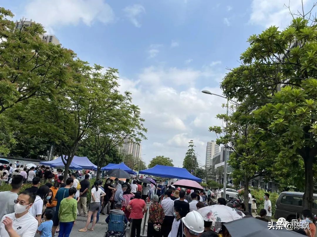 容桂凤凰湾社区,容桂凤凰湾简介