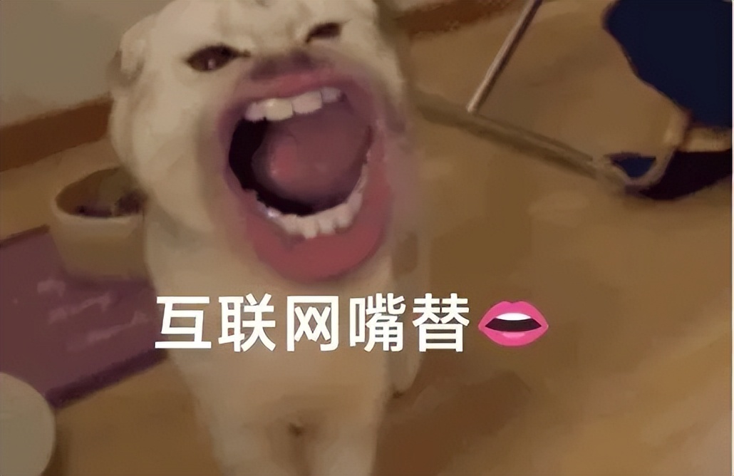 公布2022年十大流行语,2022年春晚流行语