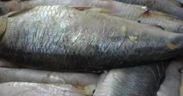 山东小伙3000元发家卖小吃,山东小哥摆摊