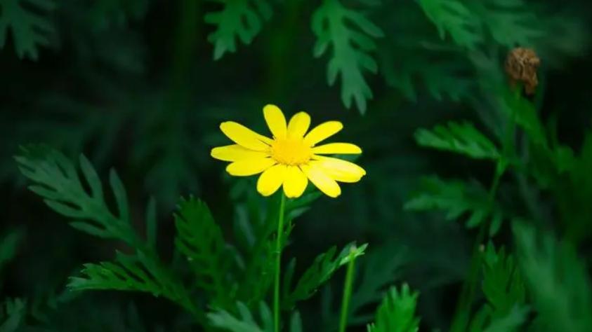 亲戚之间不能做的八件事,亲戚结仇