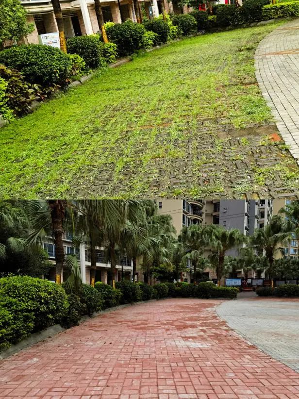 社区党建引领花园式社区建设,社区创建党建引领基层治理示范点